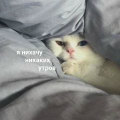 Donna Silchito, 14.02, Москва