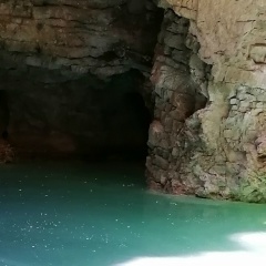 Виктория Немирович