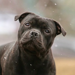 Наталья Чадина, 22.08, Челябинск