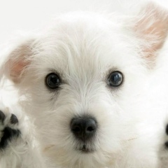 Сергей Морозов, 25.08.1987, Северодвинск