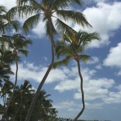 Дмитрий Сурнин, 03.02.1978, Киров