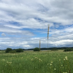 Настя Суббота, 28.04