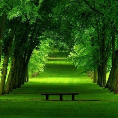 Камила Камила, Санкт-Петербург