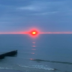 Семья Бо-Бу, Санкт-Петербург