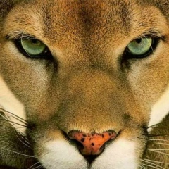 Асфия Шарафутдинова, 07.08.1955