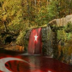 Райм Чаушев