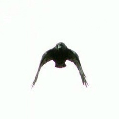 Станислав Марченко, 21.11.1994, Донецк