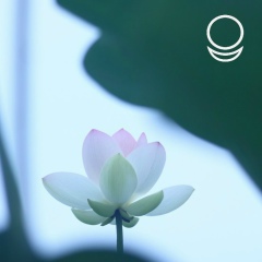 Инга Паяльникова