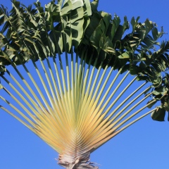 Елена Смирнова, 27.11.1969, Санкт-Петербург