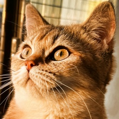 Александр Любимов, 31.05, Санкт-Петербург