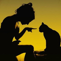 Ирина Яковлева, Санкт-Петербург