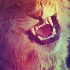 Zelim Suleymanov, 26.03, Грозный