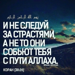 Адам Сулипов, 30.01.1984