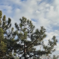 Елена Мартыченко, 14.11.1983, Bonn