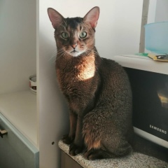 Александр Воробьев, 29.01.1980, Санкт-Петербург