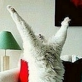 Анютка Загурская, 06.03, Дружковка