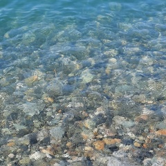 Маша Кондратьева, 10.03.1984, Великий Новгород