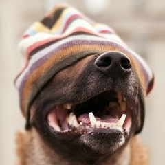 Александр Григоращенко, 30.01, Санкт-Петербург