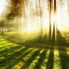 Anton Udalov, 19.12.1987