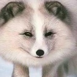 Василий Вагичев, 10.01.1983, Санкт-Петербург