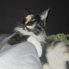 Евгений Крупин, 03.10.1978, Москва