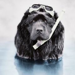 Юлия Кузнецова, 11.05, Санкт-Петербург