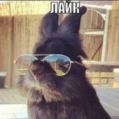 Κирилл Τихонов