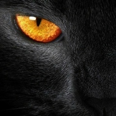 Михаил Омельченко