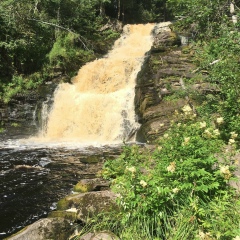 Юрий Межов, 02.03.1983, Москва
