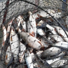 Олег Водопьян, 08.12, Санкт-Петербург