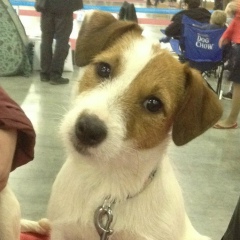 Дарья Мудрова, 21.09, Москва