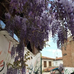 Евгения Громова, Актобе