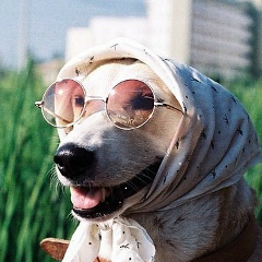 Ольга Стребкова, 03.01.1990, Санкт-Петербург