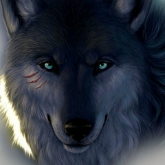 Black Wolf, 01.06.1964