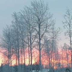 Xursand Qurbonboev, 09.09.1989