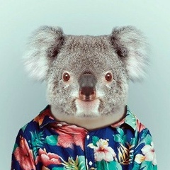 El Belkins, 19.07, Москва