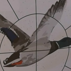 Герман Назаров, 18.01, Самара