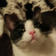 Ivan Kokorev, 09.04, Москва