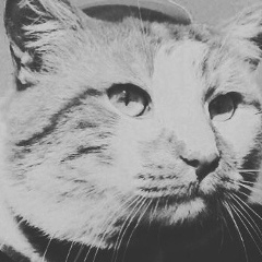 Ольга Никишина, 15.12, Москва