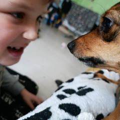 Виктор Жемчужников