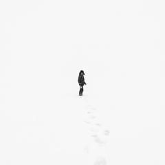 Михаил Медведев, 25.11, Москва