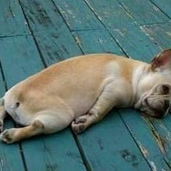 Айка Ббб, 14.10.1990, Атырау