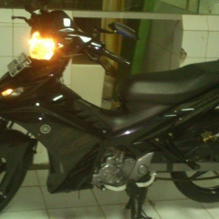 Caronetobiasabae Nli-Member, 10.09