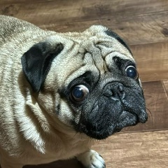 Роман Б, 18.10.1976, Ейск