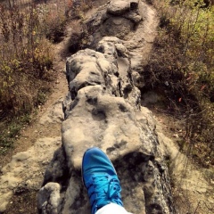 Навэ Хардов