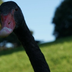 Елена Гусева, 03.12.1990, Москва