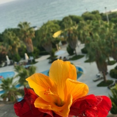 Тоита Айдамирова, 04.03.1990