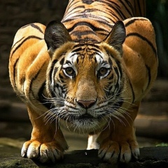 Bakhtiyor Nabiev, 28.05, Исфара