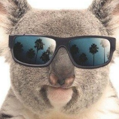 Александр Апполонов, 05.02, Ростов-на-Дону