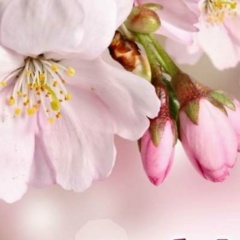 Gauhar Smanova, Астана